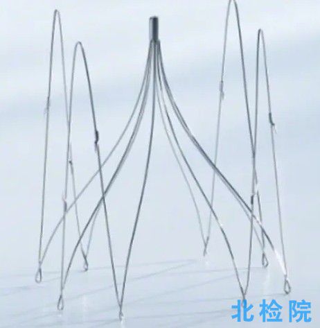 腔靜脈濾器測試