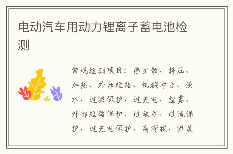 電動汽車用動力鋰離子蓄電池