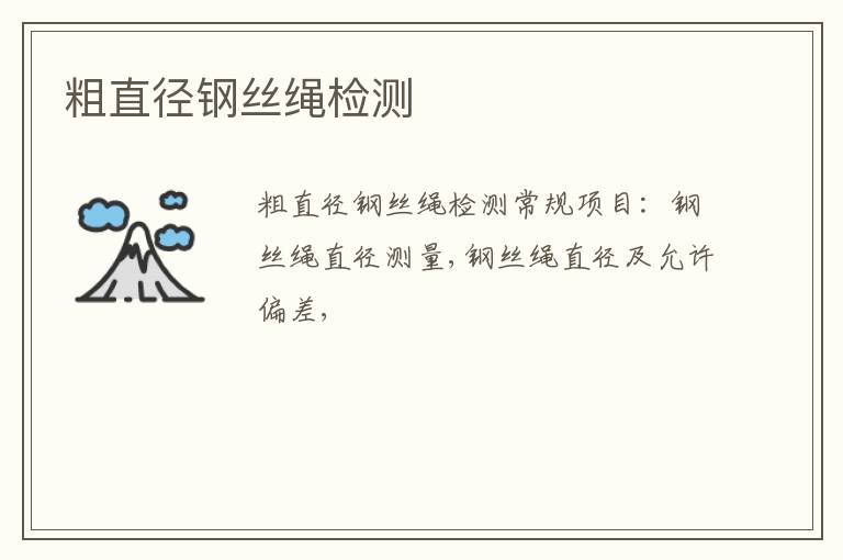粗直徑鋼絲繩