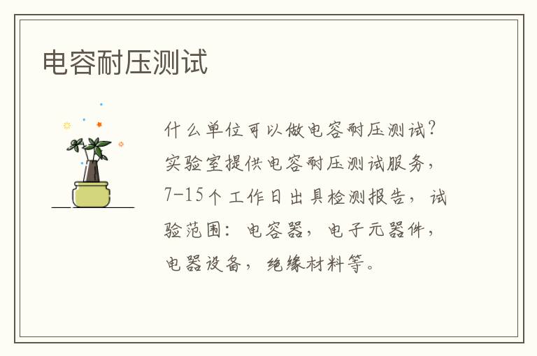 電容耐壓